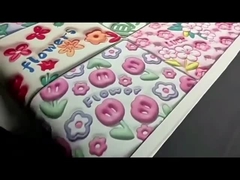 Do banheiro macio pequeno da lama da diatomácea do jardim do inchamento tapete impermeável