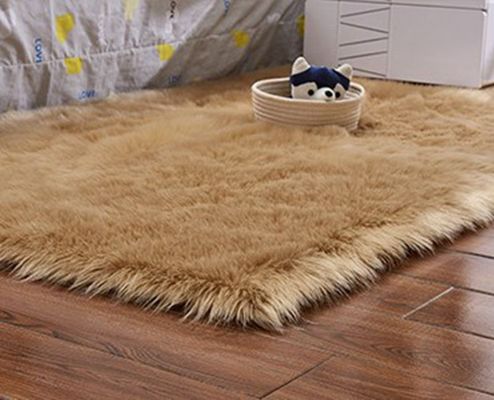 Bedroom Plush Carpet Soft Fluffy Rugs For Living Room