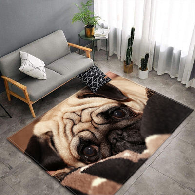 Wholesale of Animal New Big Carpet Wholesale Simple Style Bedroom Floor Mats and Door Mats