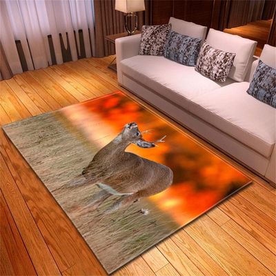 Wholesale of Animal New Big Carpet Wholesale Simple Style Bedroom Floor Mats and Door Mats