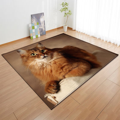 Animal New Cartoon Large Carpet Source Wholesale Feather ins Style Bedroom Floor Mats