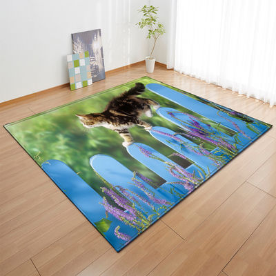 Animal New Cartoon Large Carpet Source Wholesale Feather ins Style Bedroom Floor Mats