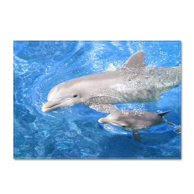 Animal New Cartoon Large Carpet Source Wholesale Feather ins Style Bedroom Floor Mats