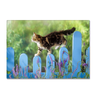 Animal New Cartoon Large Carpet Source Wholesale Feather ins Style Bedroom Floor Mats