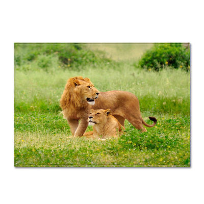 Animal New Cartoon Large Carpet Source Wholesale Feather ins Style Bedroom Floor Mats