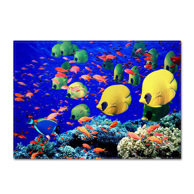 Animal New Cartoon Large Carpet Source Wholesale Feather ins Style Bedroom Floor Mats