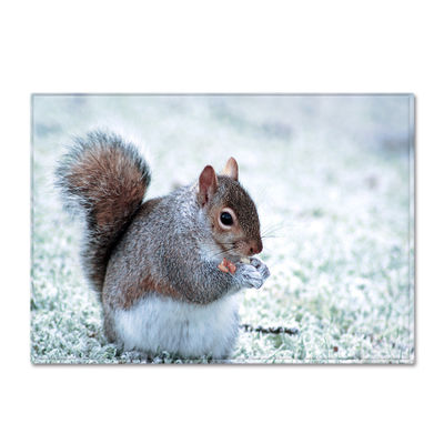 Animal New Cartoon Large Carpet Source Wholesale Feather ins Style Bedroom Floor Mats
