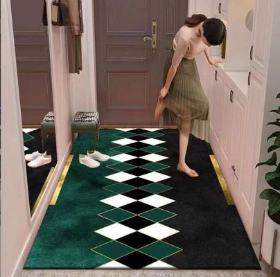 Entry Simple Modern Entry Door Mat Interior Porch Light Luxury Style Floor Rug