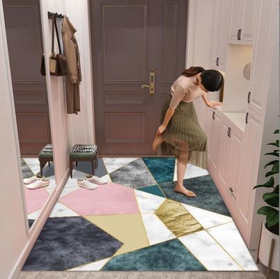 Entry Simple Modern Entry Door Mat Interior Porch Light Luxury Style Floor Rug