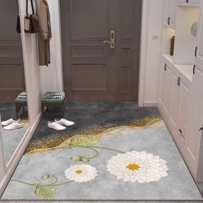 Entry Simple Modern Entry Door Mat Interior Porch Light Luxury Style Floor Rug