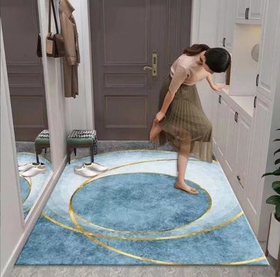 Entry Simple Modern Entry Door Mat Interior Porch Light Luxury Style Floor Rug