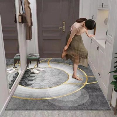 Entry Simple Modern Entry Door Mat Interior Porch Light Luxury Style Floor Rug