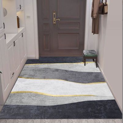 Entry Simple Modern Entry Door Mat Interior Porch Light Luxury Style Floor Rug