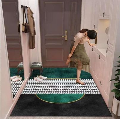 Entry Simple Modern Entry Door Mat Interior Porch Light Luxury Style Floor Rug