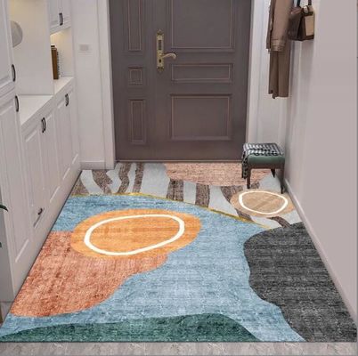 Entry Simple Modern Entry Door Mat Interior Porch Light Luxury Style Floor Rug