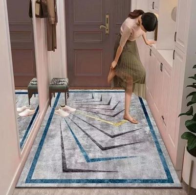 Entry Simple Modern Entry Door Mat Interior Porch Light Luxury Style Floor Rug