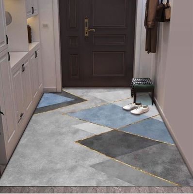 Entry Simple Modern Entry Door Mat Interior Porch Light Luxury Style Floor Rug