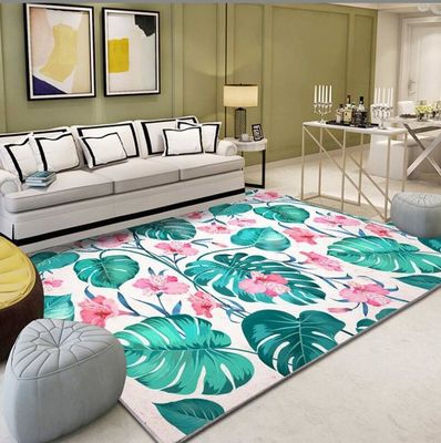 Chinese Style Printed Simple Living Room Floor Carpet Special Style