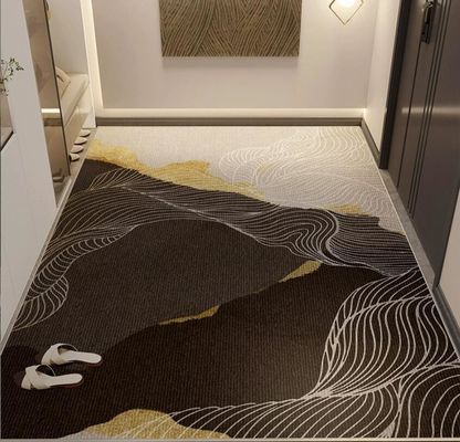 Entry Door Floor Mat 2024 New Door Entry Light Luxury High Sense  Floor Carpet Rug