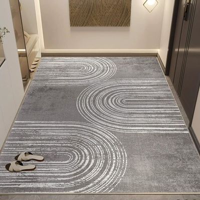 2024 New Door Entry Light Luxury High Sense  Floor Carpet Rug