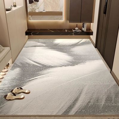 2024 New Door Entry Light Luxury High Sense  Floor Carpet Rug