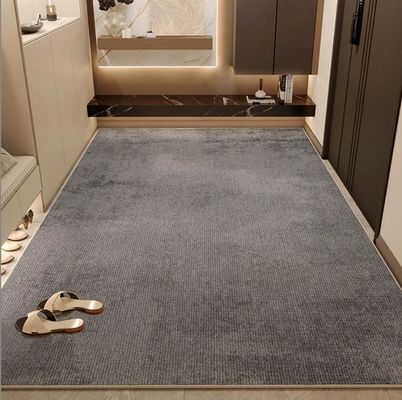 2024 New Door entry ringan mewah akal tinggi lantai Karpet Karpet
